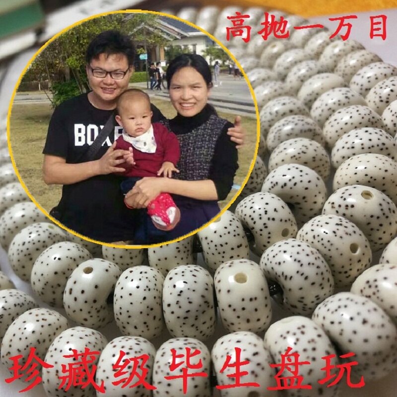 满天星海南星月菩提子原籽108颗手串正月高密干磨项链男女手链