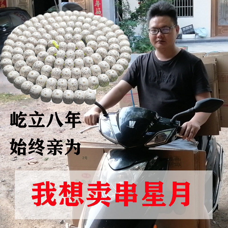 海南毛感星月菩提子原籽108颗正月高密高瓷高油文玩手串项链男女