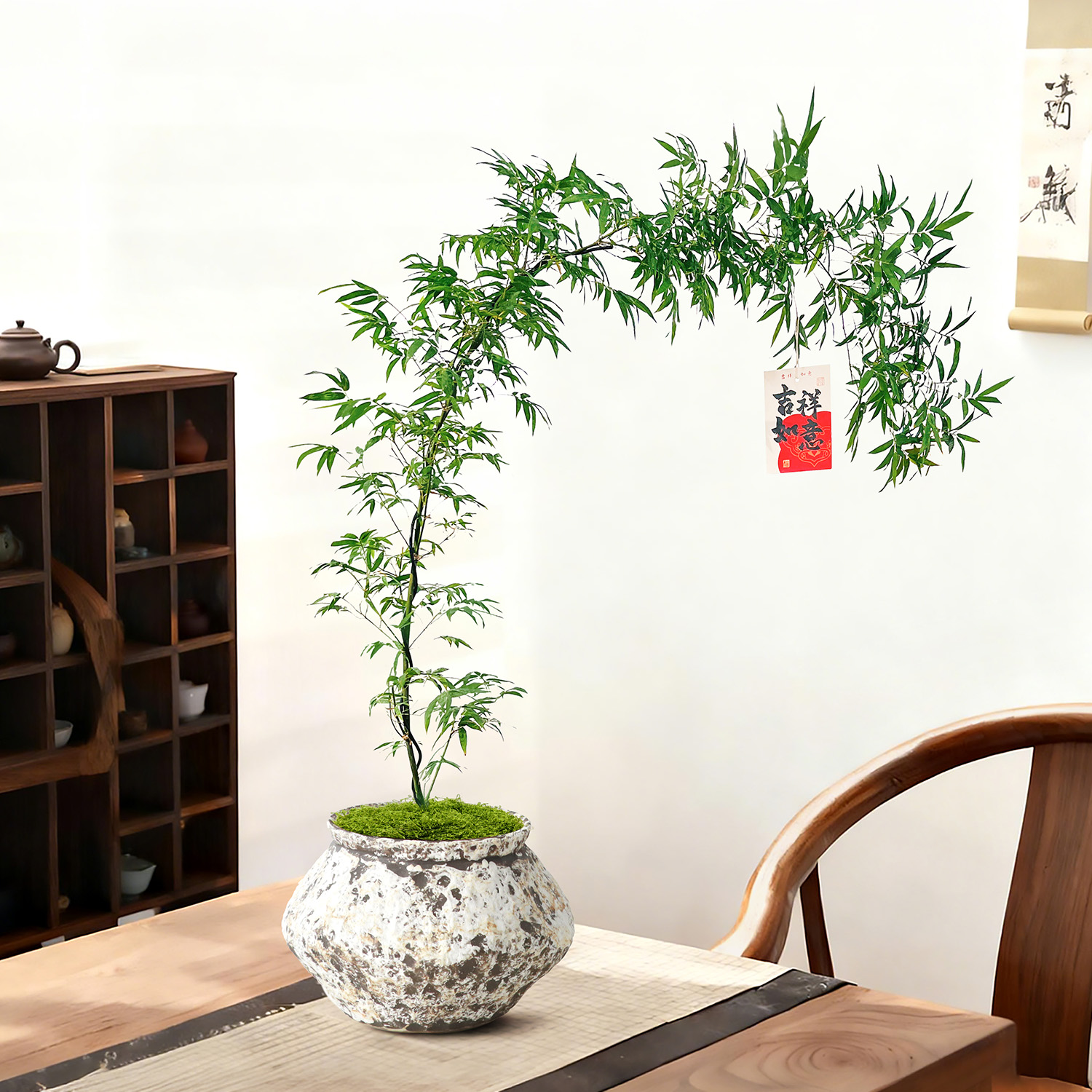 小叶勒竹盆景室内办公室桌面植物