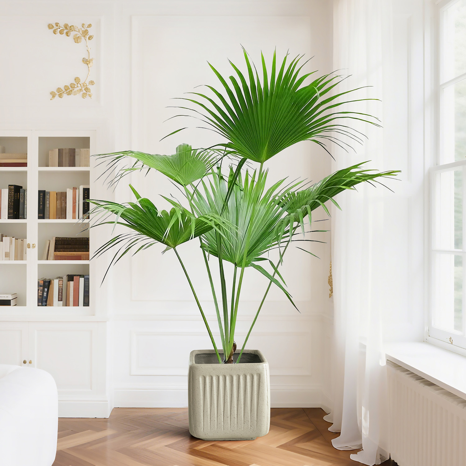 庭院造景绿植蒲葵简约日式中国风