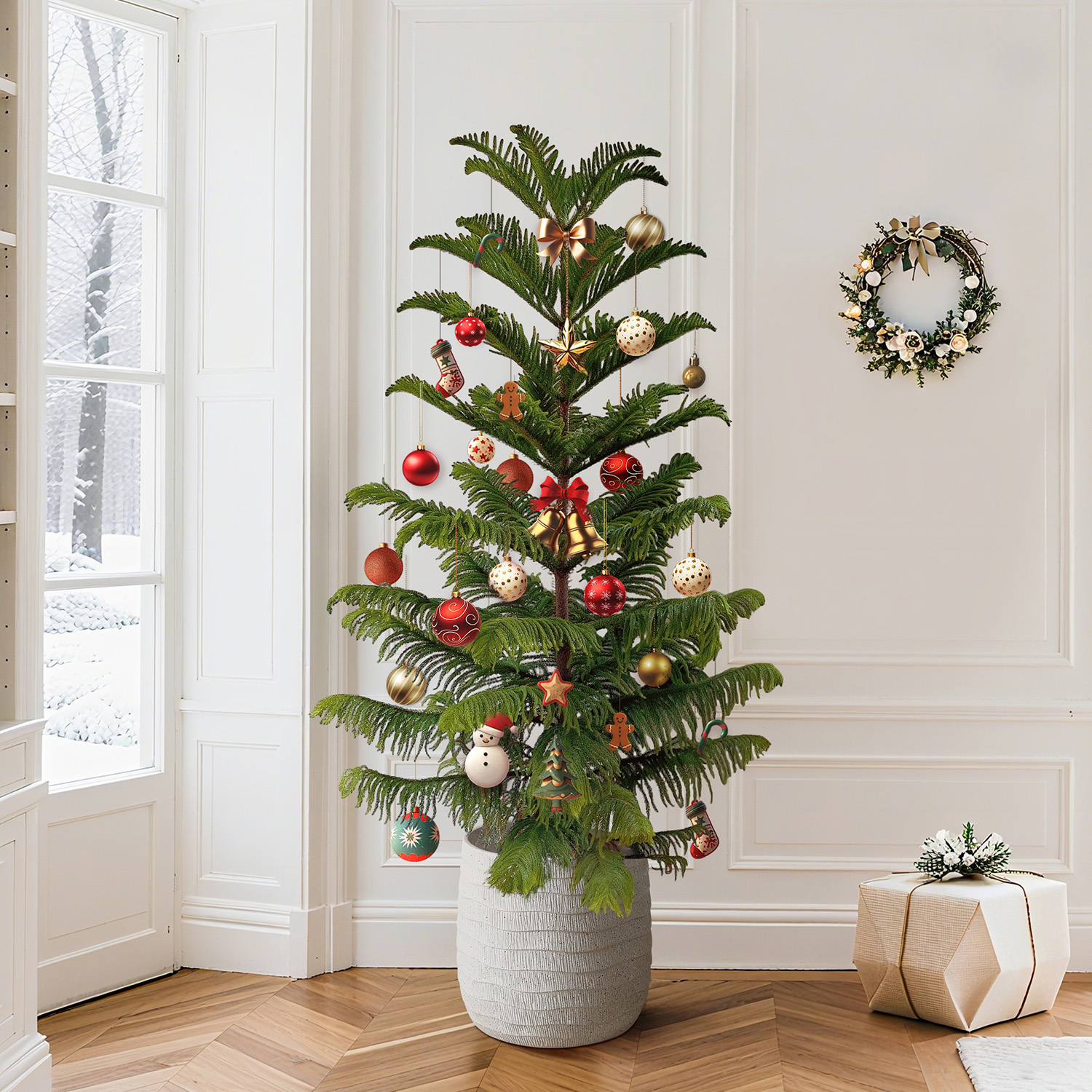 南洋杉圣诞树氛围感绿植家居装饰