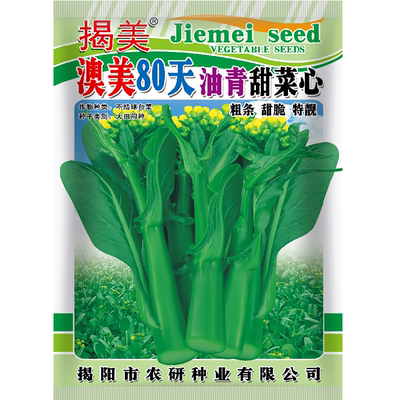 蔬菜高产粗条80天油青四季甜菜心