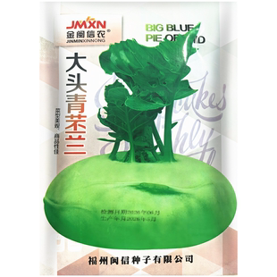 大头青苤兰种子 苤蓝芥兰头菜 芥蓝球茎大头菜籽 农家蔬菜种子5克