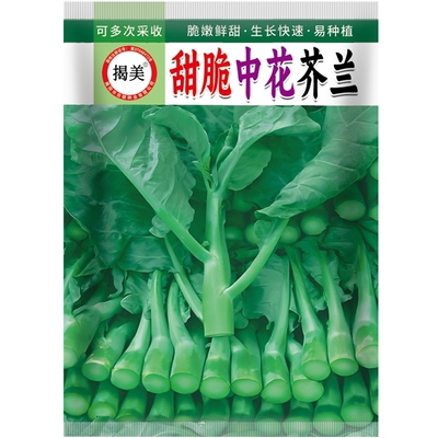 揭美甜脆中花芥兰种子 多次采收脆嫩芥蓝籽 秋播易种蔬菜种子10克