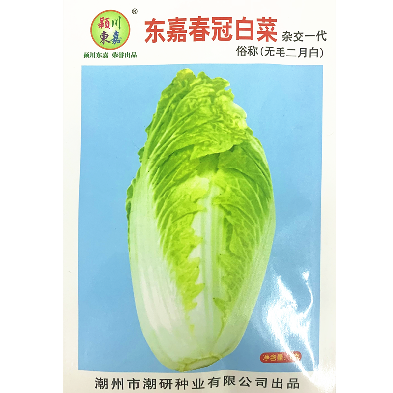 东嘉杂交一代春冠白菜种子
