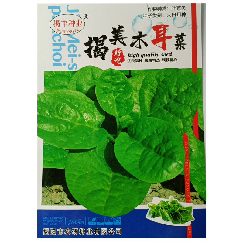 大叶木耳菜素材模板 大叶木耳菜图片下载 小麦优选