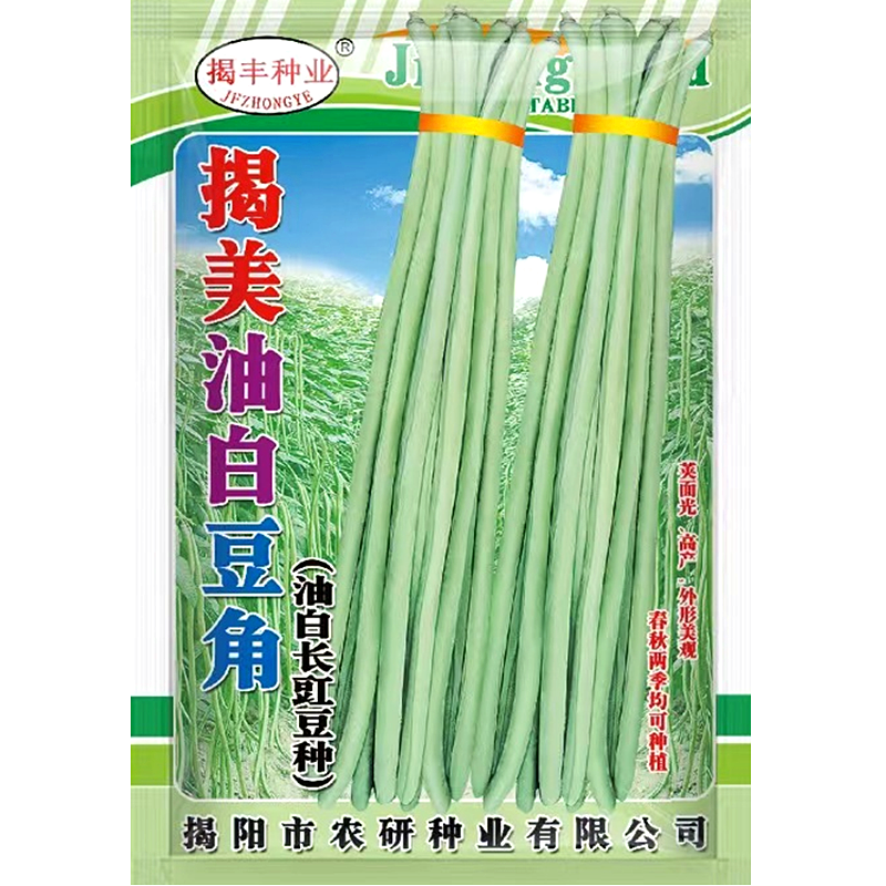 揭美油白长豆角种子 高产油白长豇豆籽 春秋播菜豆蔬菜种子