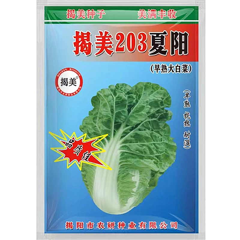 蔬菜一代杂交潮州夏阳耐湿白菜