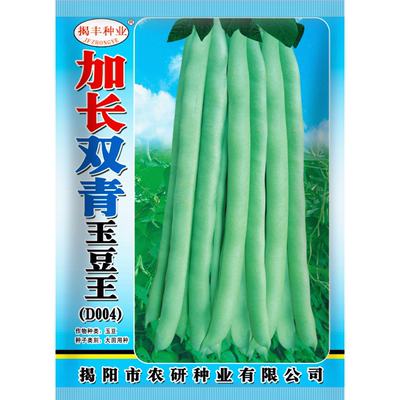 加长青玉400克刀豆高产春秋种子