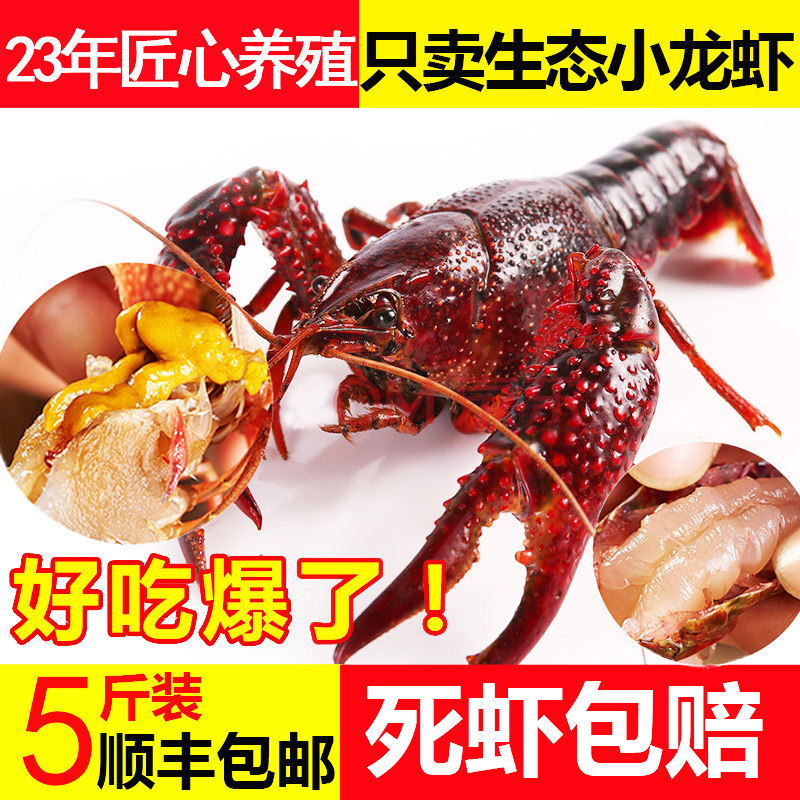 小龙虾鲜活盱眙789钱小龙虾活体超大新鲜活虾清水特大5斤非洪湖