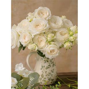 寒江雪月季 国月 灌木大花 白色切花 丰花直立勤花 多头耐热 多季