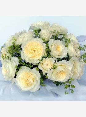 一百亩花田 耐心(Patience) 奥斯汀切花大花 香直立白色月季 中苗