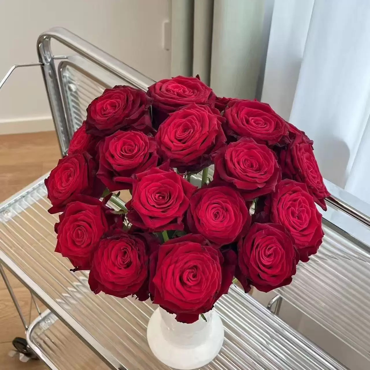 【一百亩花田】薛宝钗 红色丝绒 大花切花庭院玫瑰  直立月季花苗