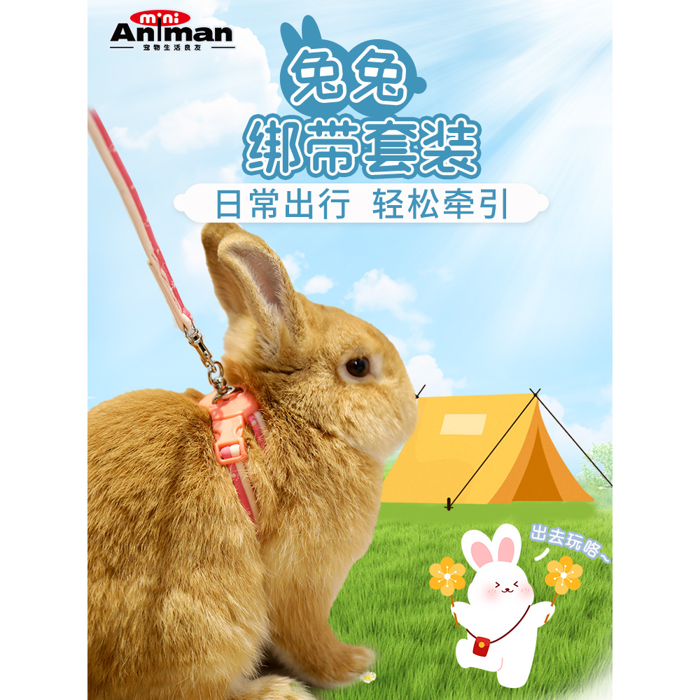 animan兔子牵引绳可伸缩