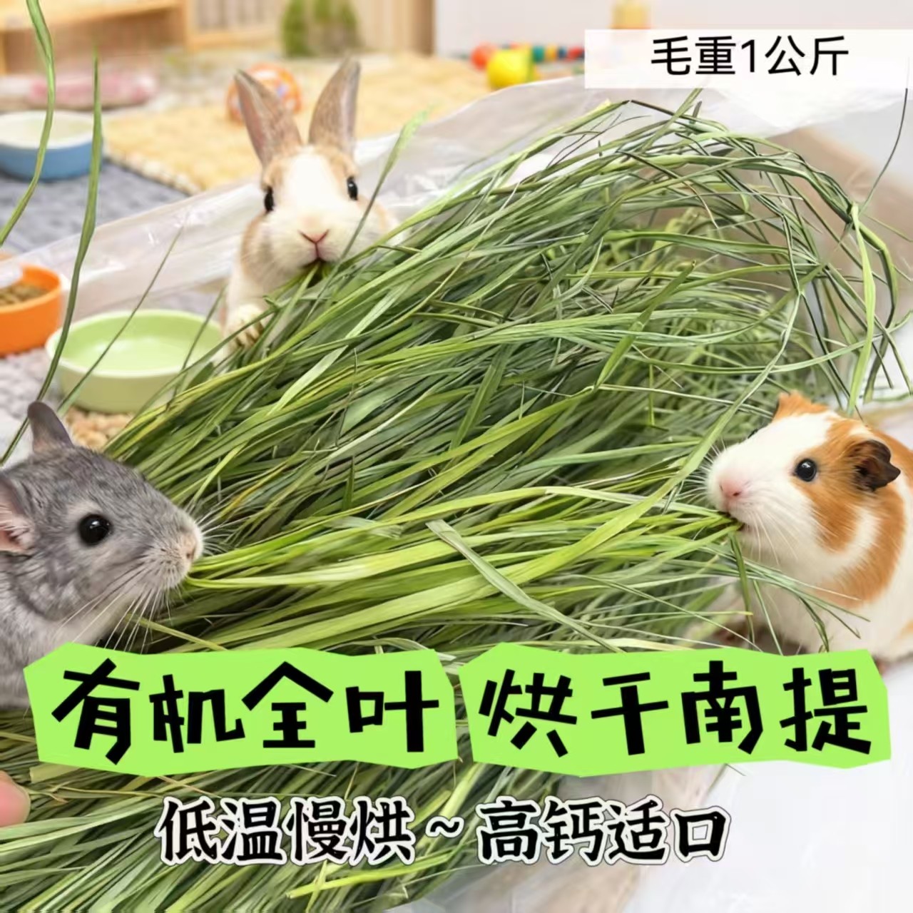 兔子林-2025新草APD全叶南提适合于兔兔龙猫满百包邮适口性好,宠物/宠物食品及用品,兔兔其他,淘宝优惠券,粉丝福利购,淘宝优惠卷