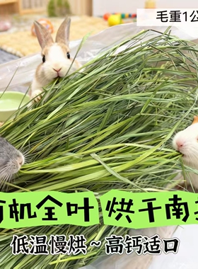 兔子林-2025新草APD全叶南提适合于兔兔龙猫满百包邮适口性好