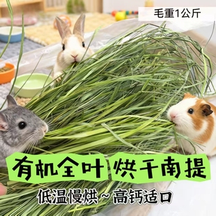 适口性好 包邮 兔子林 2025新草APD全叶南提适合于兔兔龙猫满百