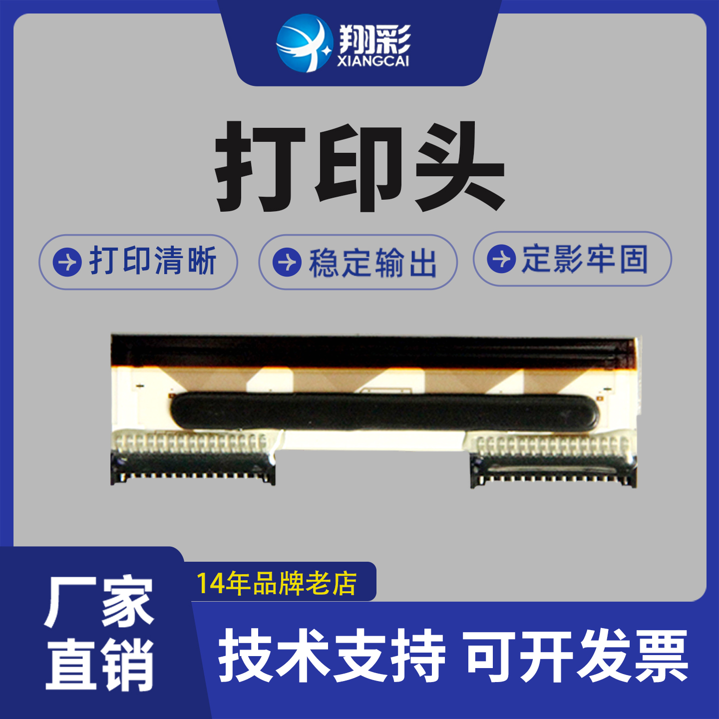 翔彩容大RLS-1000A打印头RLS1000