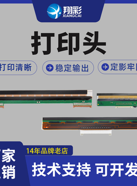 翔彩适用全新汉印N41 R42D G42D打印头200SP工业级打印机热敏头 D45 JT888 R32P 9R9条码双排 打印头 条码头