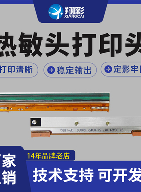 翔彩 适用 立象2140EX打印头 200DPI 立象3140EX DX4100 2300E热敏头 300DPI 13针条码打印头
