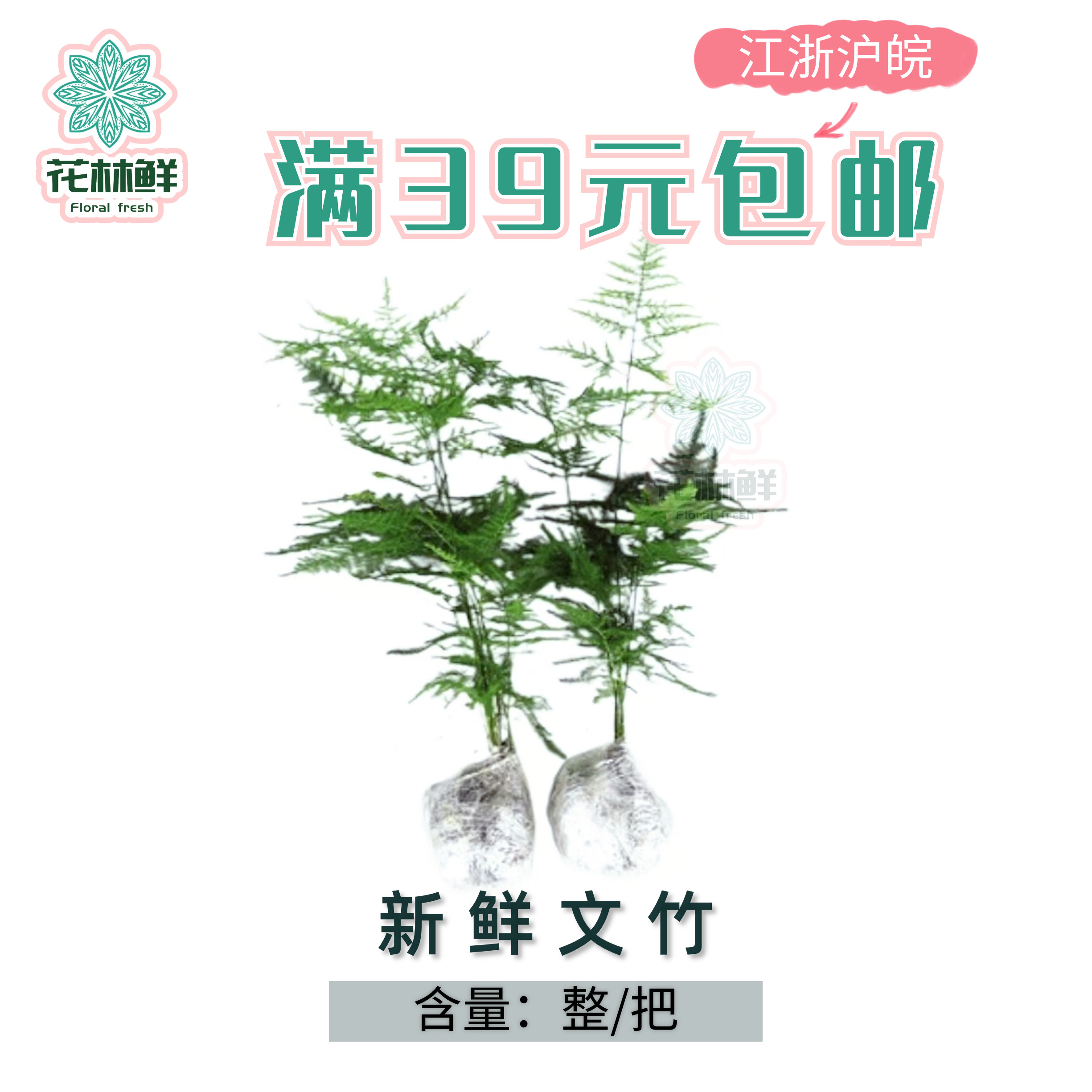 新鲜文竹 整枝 酒店餐厅日料摆盘花草