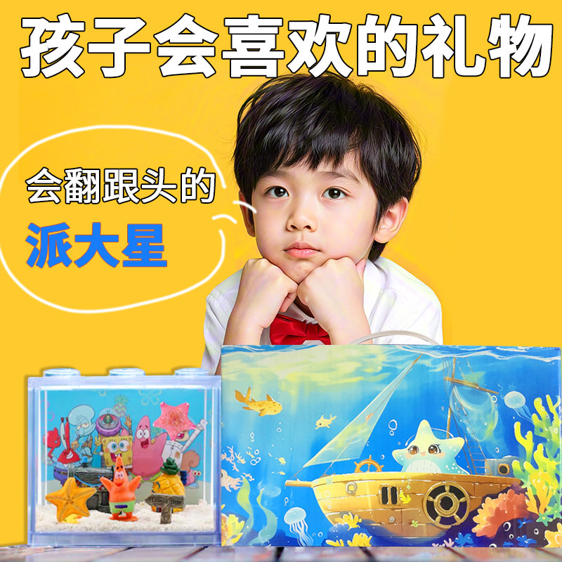 【海星活体宠物】六一儿童节特殊礼物海洋礼品海星生态缸饲养套餐