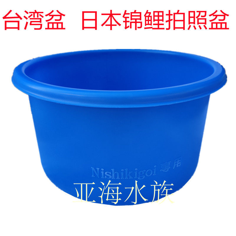 台湾盆日本锦鲤拍照拍卖盆 蓝盆蓝桶量尺周转直播盆加厚耐用