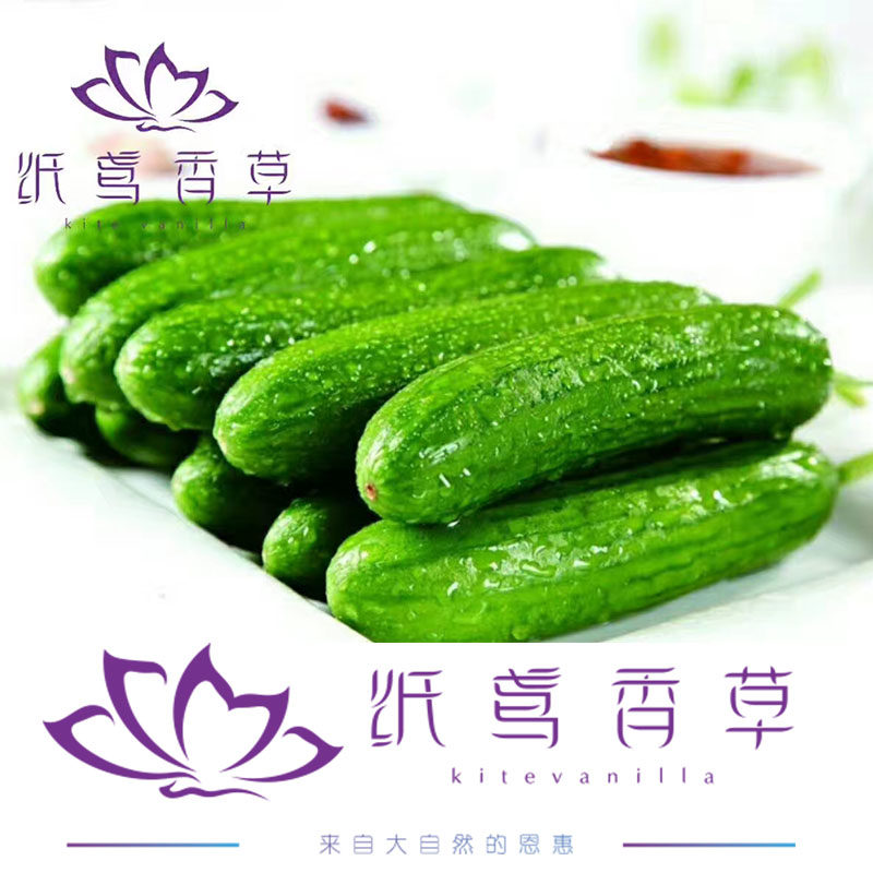 纸鸢香草 小黄瓜纯露自然黄瓜胶保湿补水 舒缓肌肤 500ml