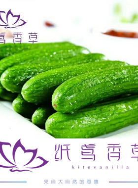 纸鸢香草小黄瓜纯露自然保湿