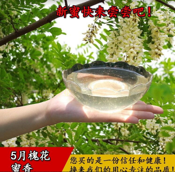 2024高品质纯洋槐蜜蜂蜜纯正天然自产野生槐花蜜刺槐蜜无添加500g