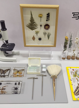 蝴蝶昆虫植物花叶标本主题样板间书桌摆件软装饰品书房显微镜镊子