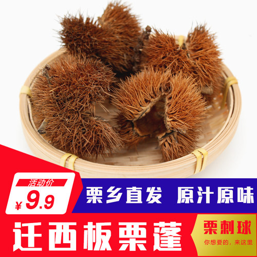 栗壳价格 栗壳图片 星期三