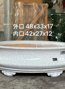 石湾盆陶瓷花盆冰裂釉面手工盆景盆椭圆形48口径三角梅罗汉松花盆