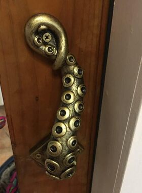 独立站octopusdoorhan