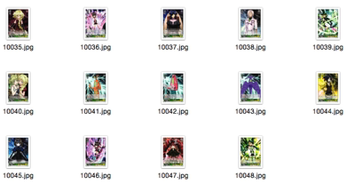 战姬绝唱绿色黑白双翼