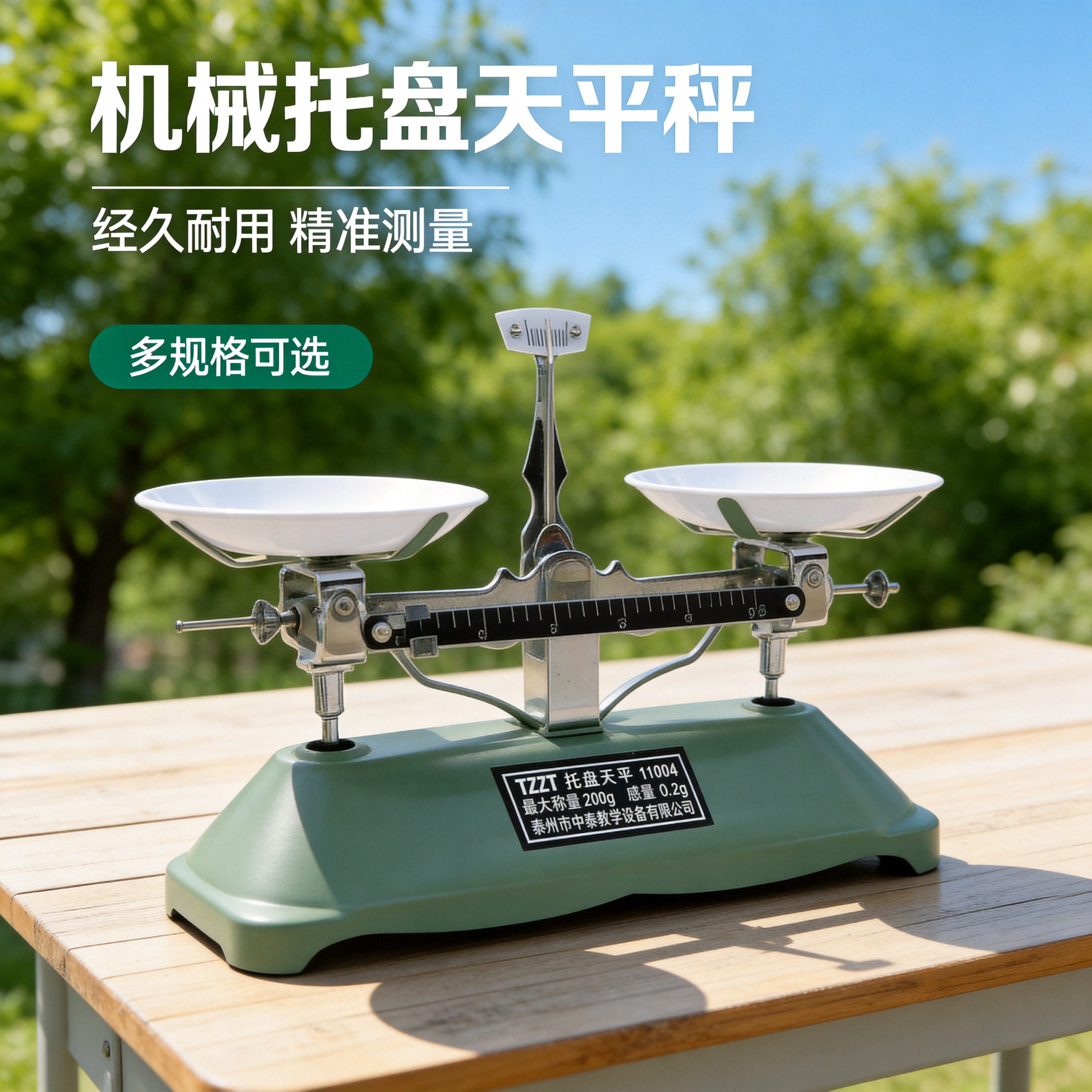 托盘天平秤称砝码家用教具小学生