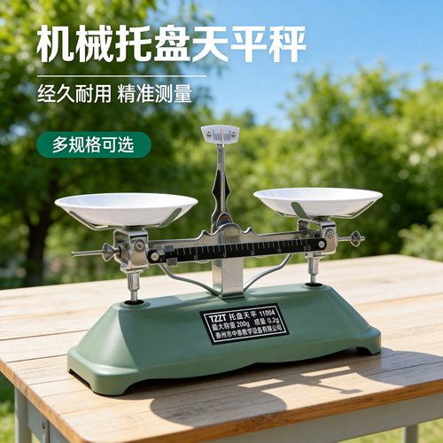 托盘天平秤称砝码家用教具小学生