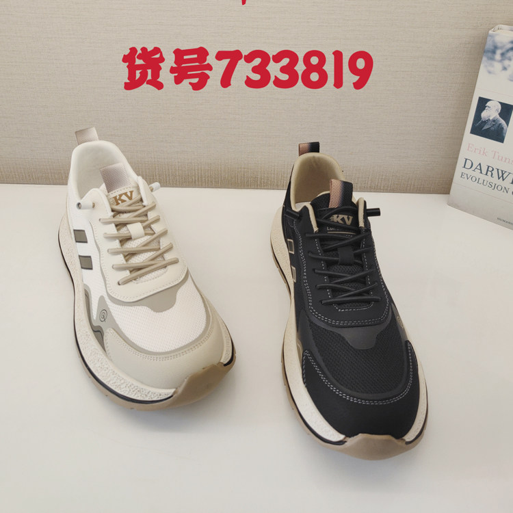 龙帝欧品牌正品男鞋2025春季新款时尚休闲鞋百搭舒适运动733819