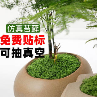 花盆表面覆盖物仿真苔藓丝人造假草坪绿植青苔植物盆栽微景观造景