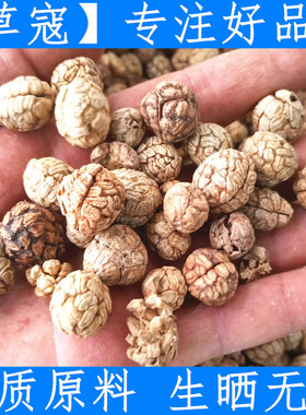 大草扣草豆蔻草寇草蔻草叩香料老寇炖肉料卤肉调料煲汤500克包邮