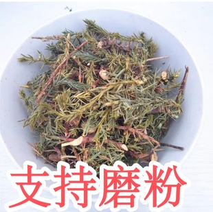 中药材 刺柏粉 500克 刺柏叶粉 柏叶杜松树叶山刺柏短柏木可磨粉