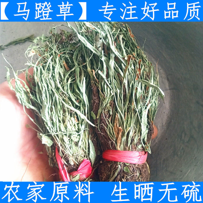 马蹬草 中药材 马蹬草 过桥草 还阳草 小石韦 马蹬草 250克新货