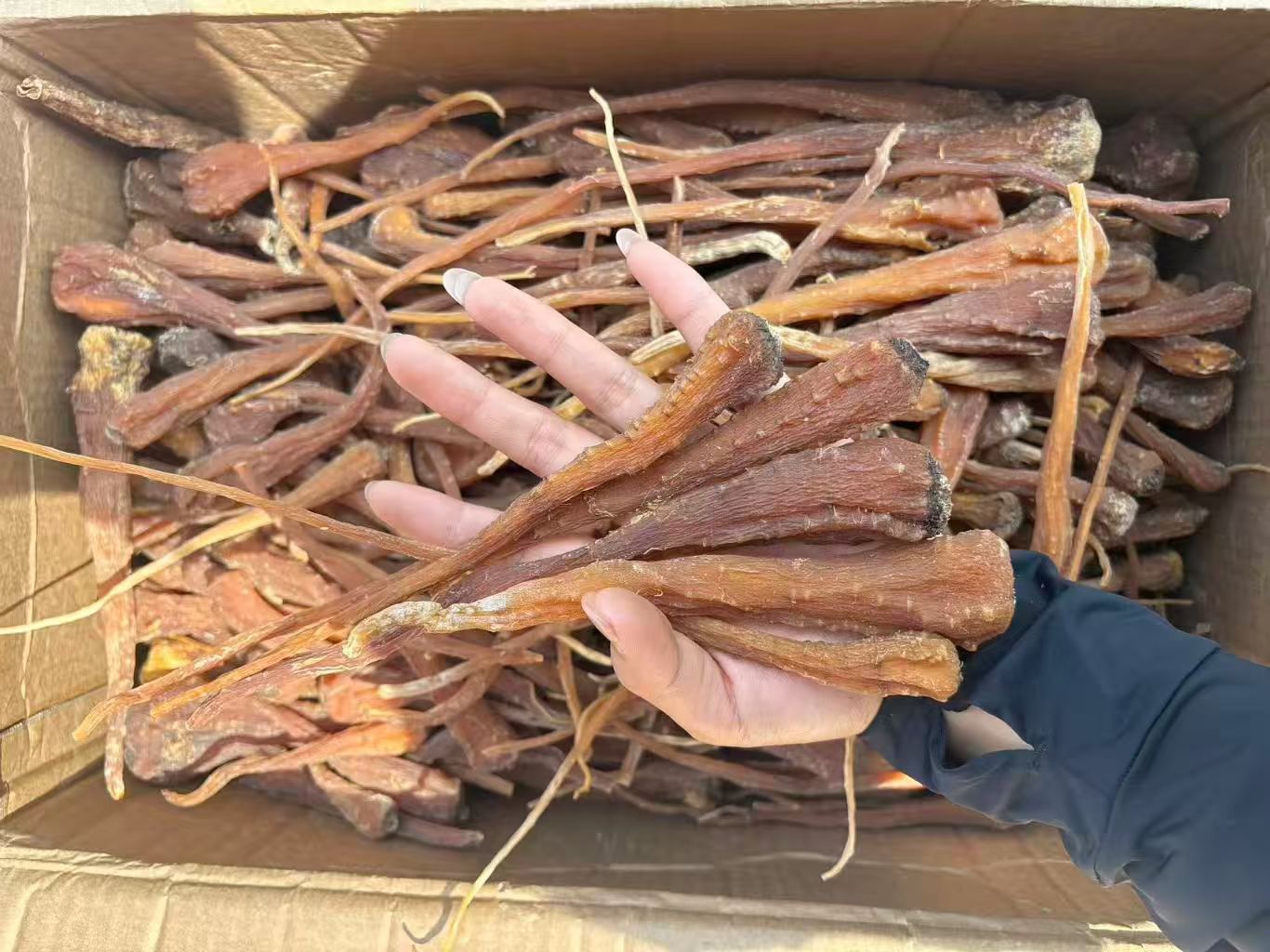 正品宗雪参西藏天然藏雪参整根大条纯天然干货人参煲汤特产参王