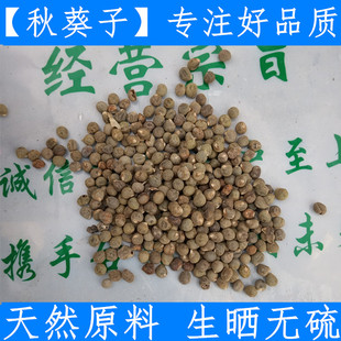 中药材 秋葵种子 黄秋葵种子 秋葵籽新货黄蜀秋葵子500克原料