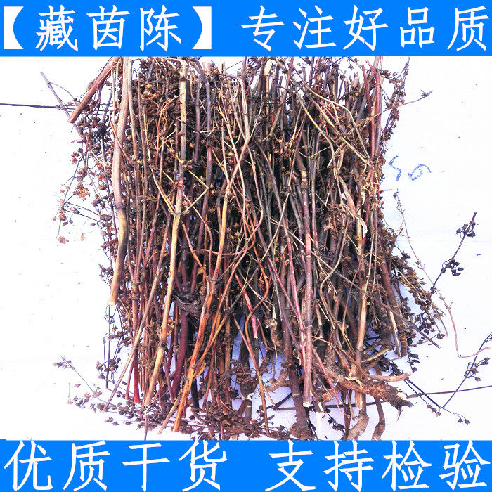 原料西藏新鲜中药材