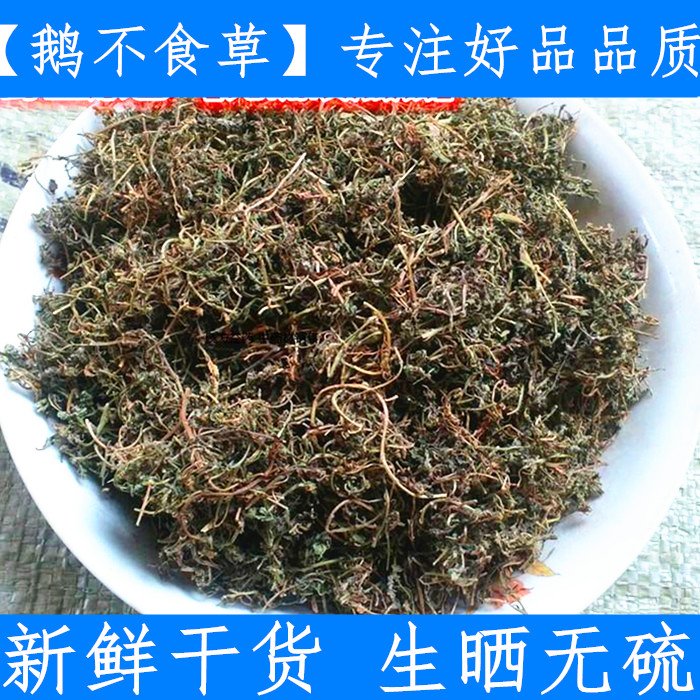 原料中药材新鲜鹅不食草