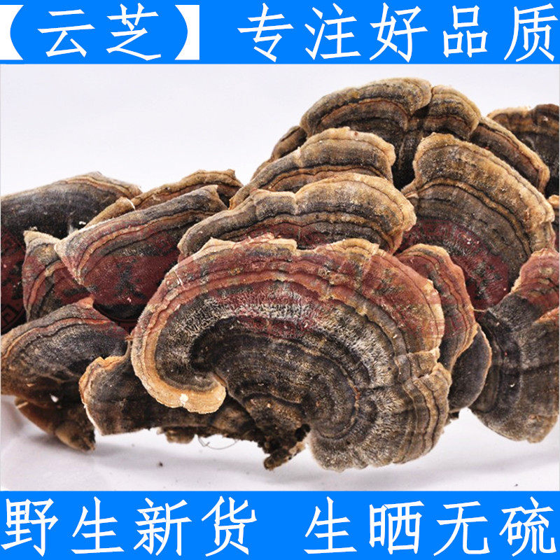 原料云芝500g 云芝蘑 整枝灵芝片林芝正品 黄云芝云芝菌