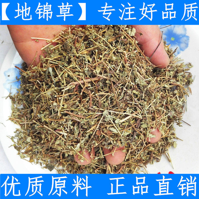 原料中药材地锦草 卧蛋草 血见愁 地蔪草 500g新鲜干货