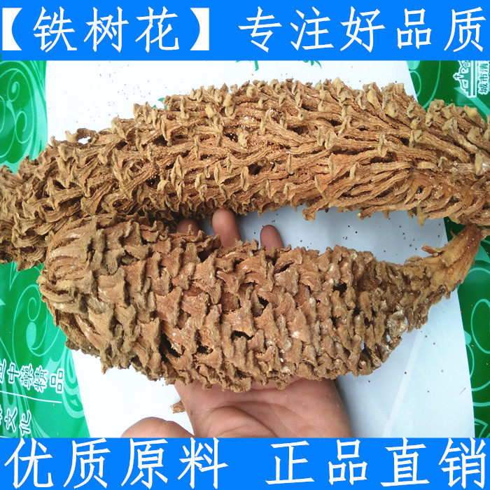 铁树花干花新货大雄花250g自采正品中药材铁树花干货另有雌花