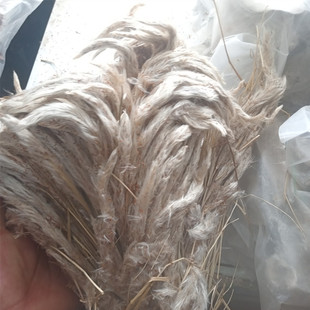 白茅花100克 正品新货 干茅草花 茅针花 白茅根草花 白茅草